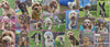 oodles of paws doggy day care banner of numerous puppies